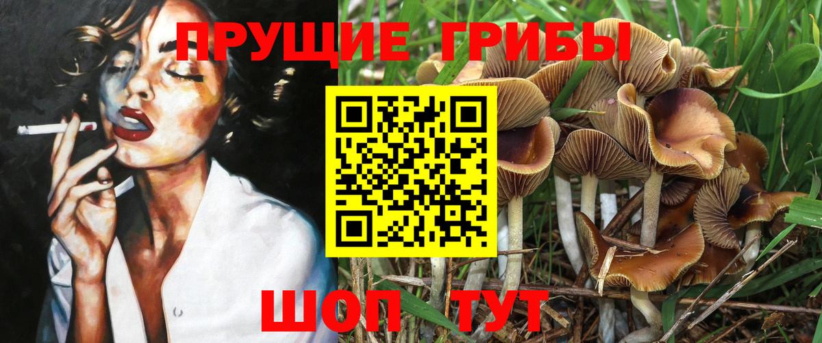 как найти   Вход с VPN  Лысьва  Галлюциногенные грибы мицелий 