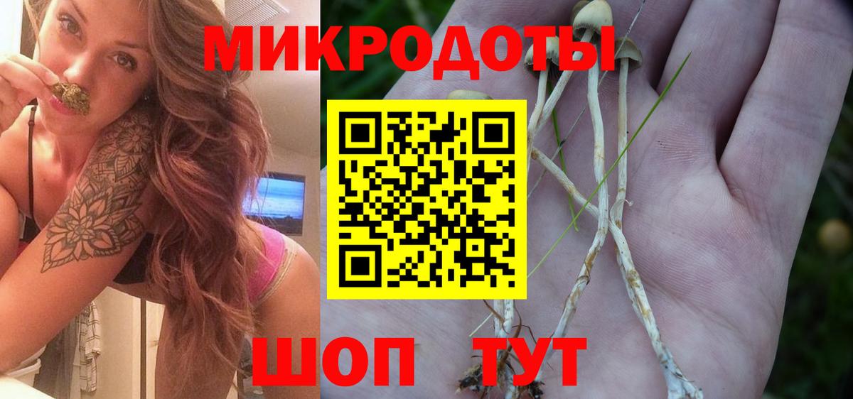 Галлюциногенные грибы Magic Shrooms Лысьва